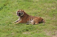 IMG_8391.JPG