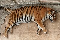 IMG_8394.JPG