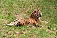 IMG_8396.JPG