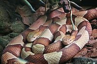 IMG_8419.JPG