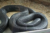 IMG_8420.JPG