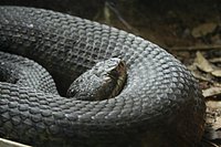 IMG_8428.JPG