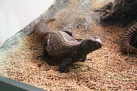 IMG_8429.JPG