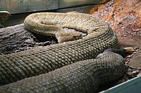 IMG_8435.JPG