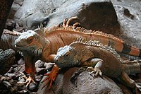 IMG_8442.JPG