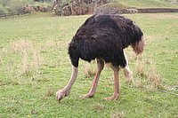 IMG_8445.JPG