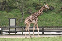 IMG_8446.JPG