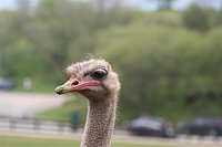 IMG_8448.JPG