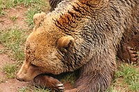IMG_8449.JPG