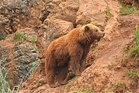 IMG_8451.JPG