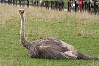 IMG_8466.JPG