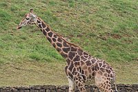 IMG_8469.JPG