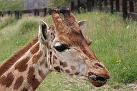 IMG_8472.JPG