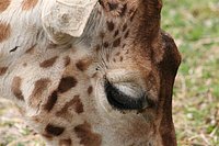 IMG_8475.JPG