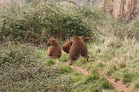 IMG_8483.JPG