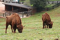 IMG_8485.JPG
