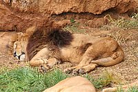 IMG_8488.JPG