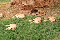 IMG_8489.JPG