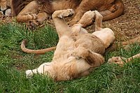 IMG_8492.JPG