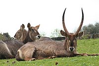 IMG_8507.JPG
