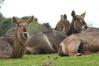IMG_8509.JPG
