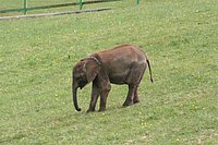 IMG_8513.JPG