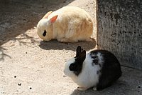IMG_8524.JPG