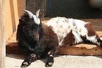 IMG_8527.JPG