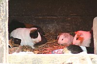 IMG_8530.JPG