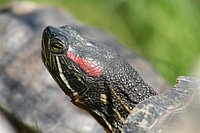 IMG_8534.JPG