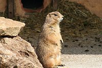 IMG_8545.JPG