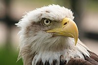 IMG_8547.JPG