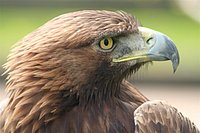 IMG_8550.JPG