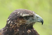 IMG_8551.JPG