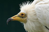 IMG_8559.JPG
