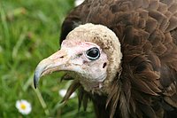 IMG_8561.JPG