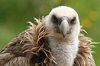 IMG_8565.JPG
