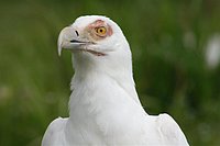 IMG_8568.JPG