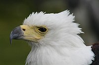 IMG_8572.JPG