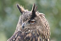 IMG_8578.JPG