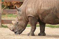 IMG_8593.JPG