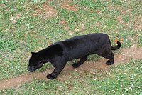 IMG_8594.JPG