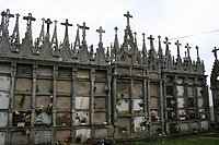IMG_8666.JPG