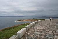 IMG_8750.JPG
