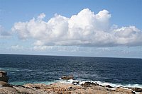 IMG_8759.JPG