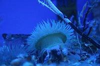 IMG_8764.JPG