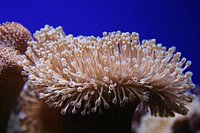 IMG_8780.JPG