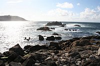 IMG_8798.JPG