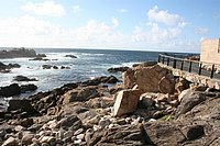 IMG_8803.JPG