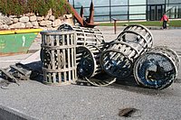 IMG_8813.JPG